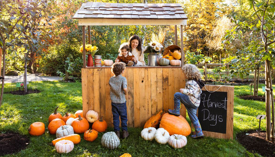 Events is Vancouver: Harvest Days at VanDusen Garden