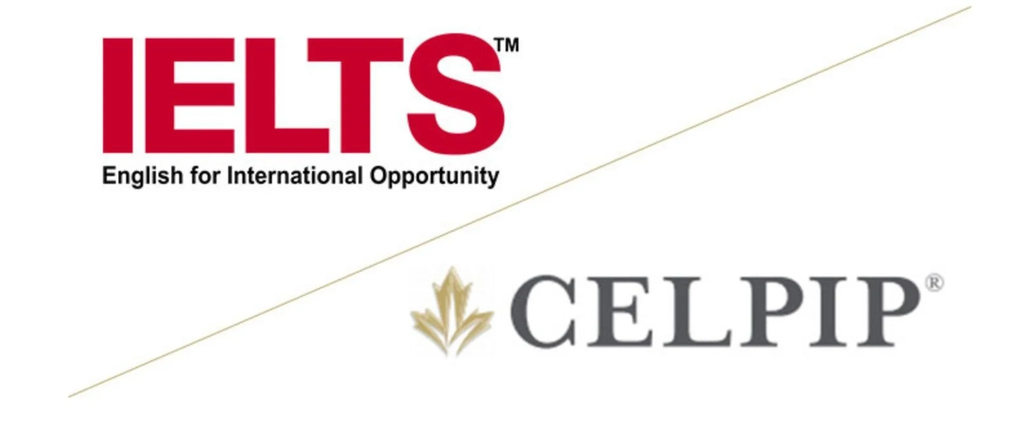 IELTS vs CELPIP (What's the Difference?)