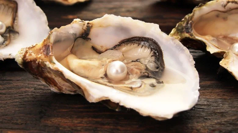 the world is your oyster
