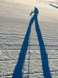Language of the Day: Shadowing — MOSAIC engage