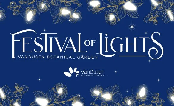 Events in Vancouver : Festival of Lights 
