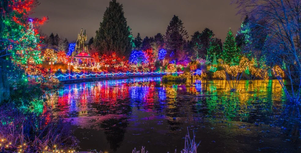Van-Dusen-Festival-of-Lights-by-Sonika-Arora_DSC9962-1-2-984x500.jpg
