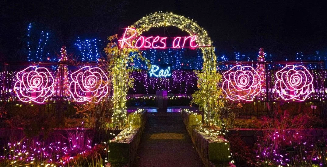 VanDusen-Festival-of-Lights-4.jpg
