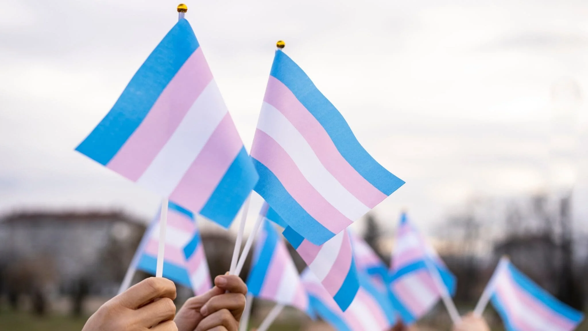 International Transgender Day of Visibility Celebration