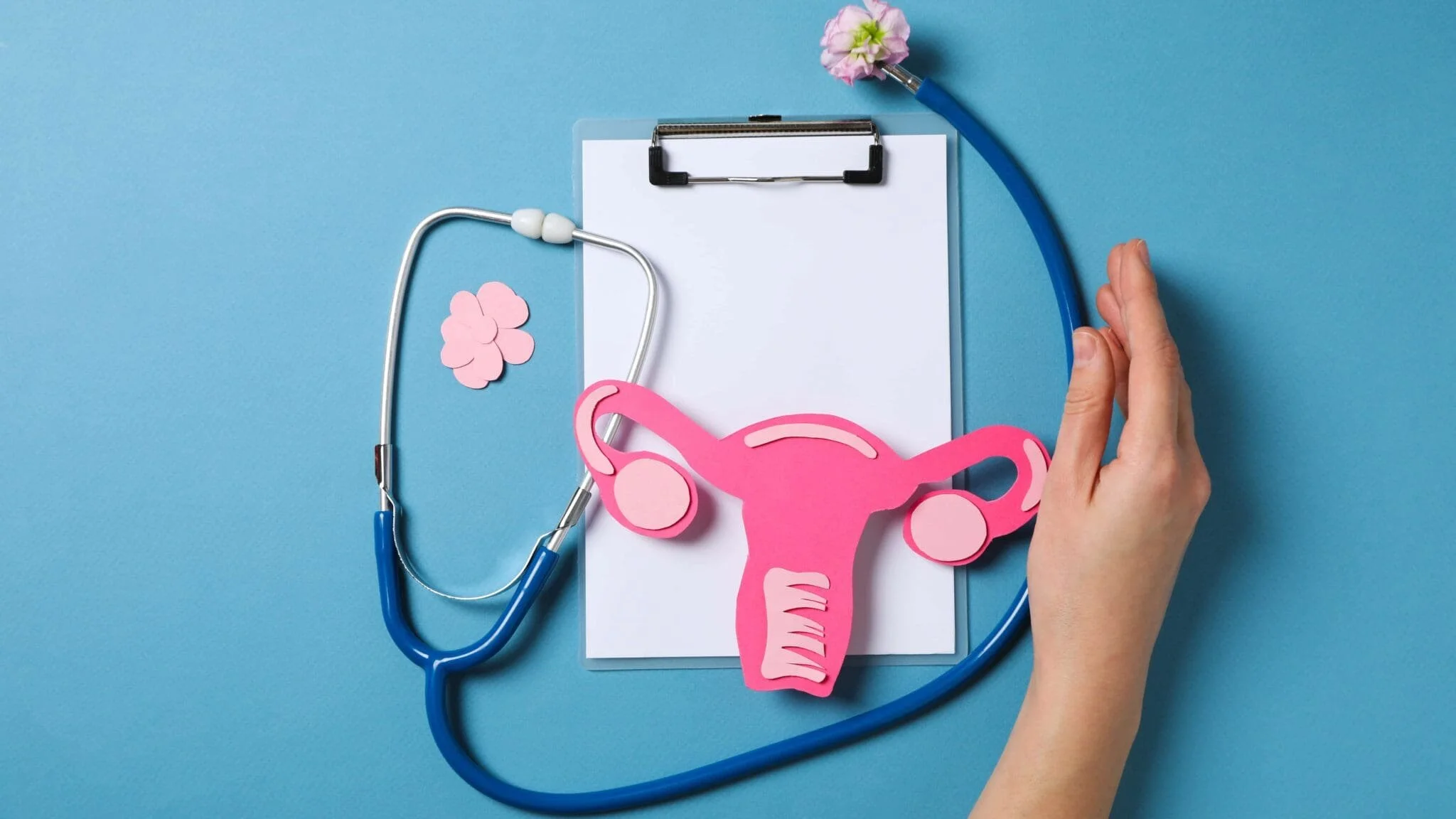 Breast &amp; Cervical Cancer Screening Workshop in Vietnamese