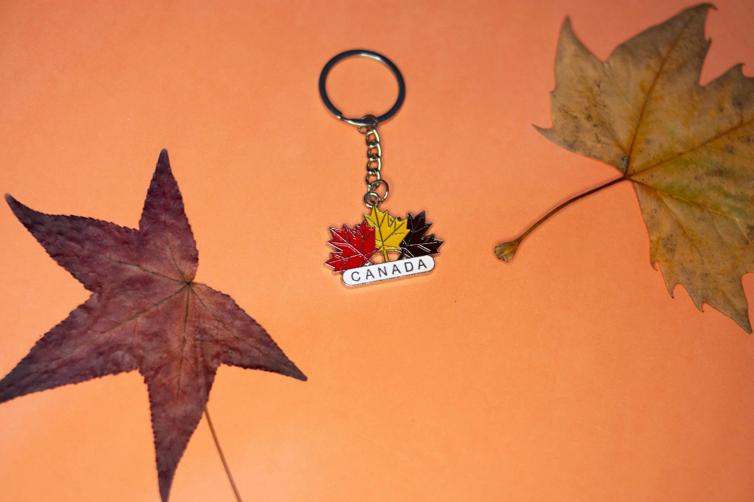 Language of the day: Common Canadian Slang You Should Learn