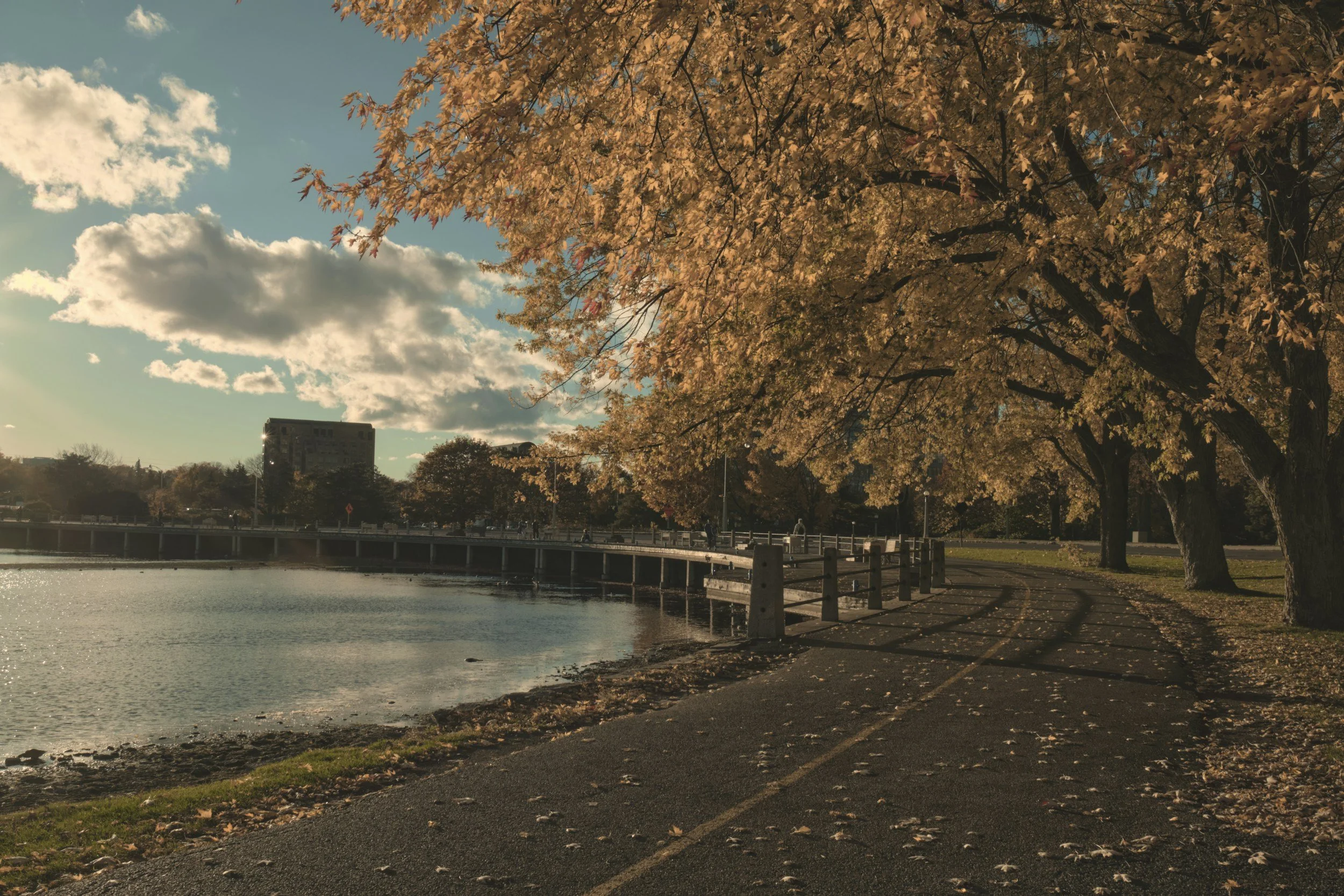 Language of the Day: How to Talk About Fall Weather Like a Canadian ☔