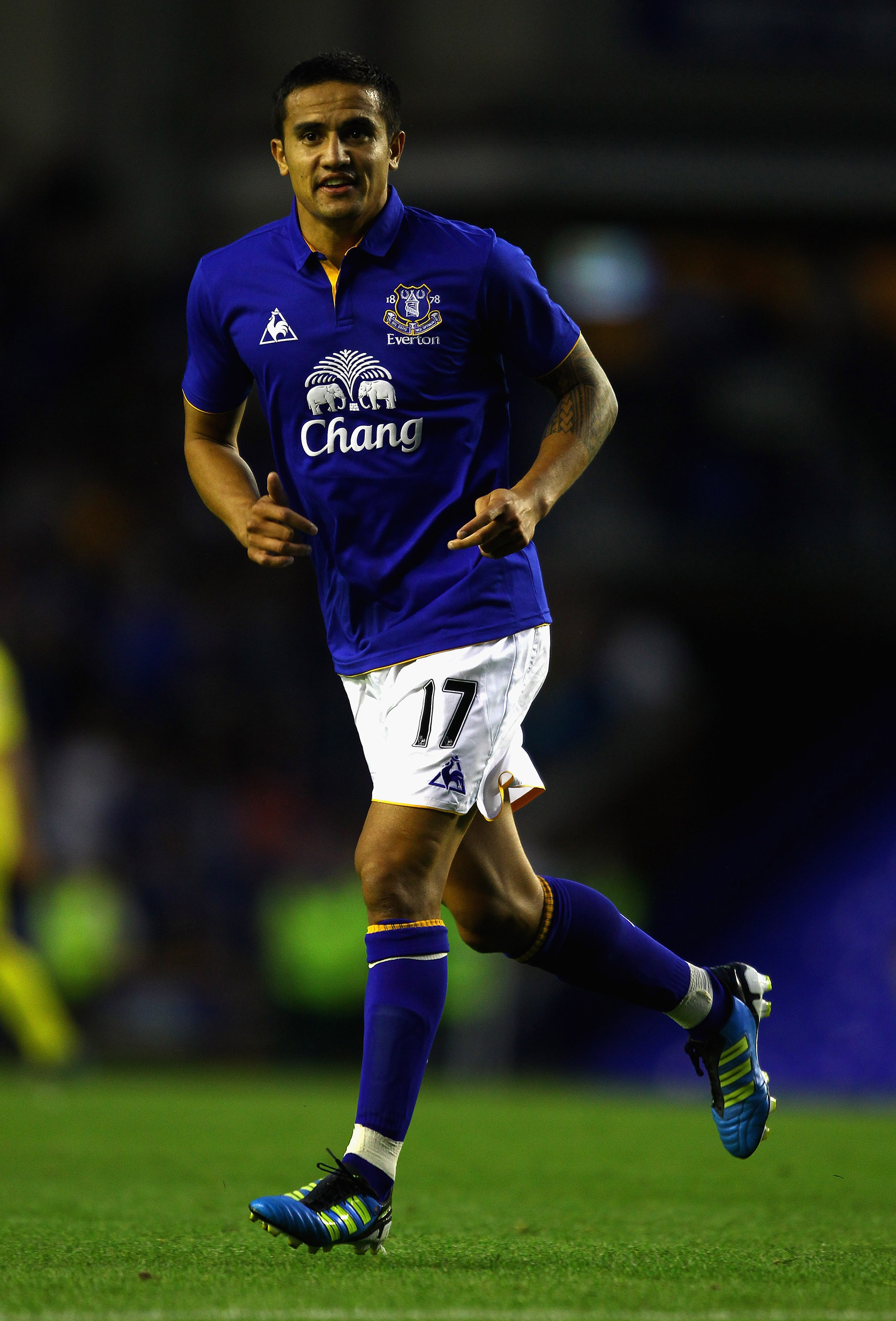 tc-everton.jpg