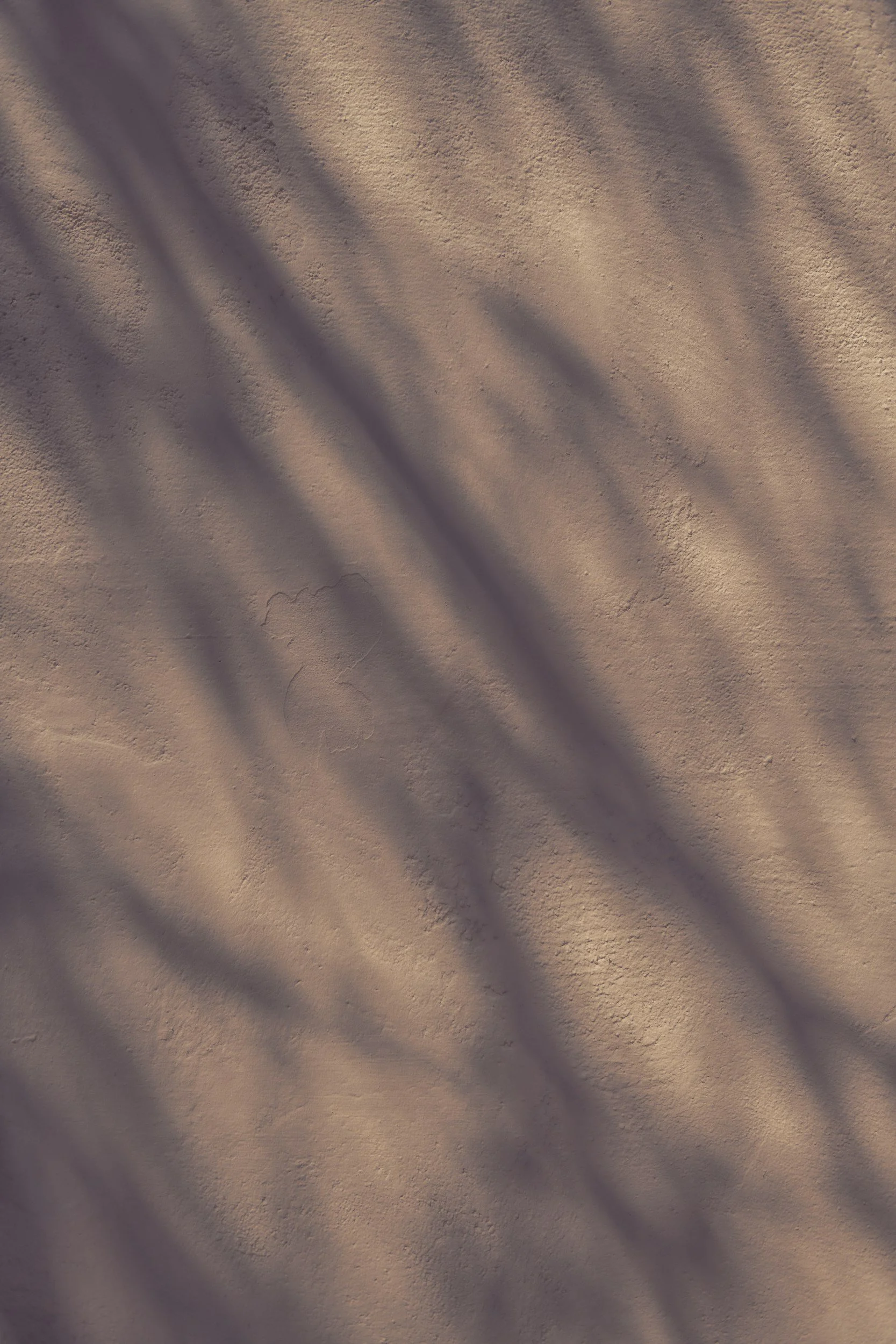 unsplash-image-b0JWb0ci78k.jpg
