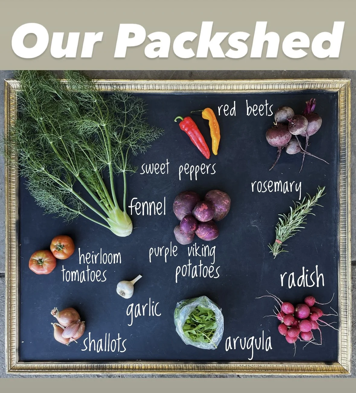 Amaltheia Summer CSA 2026 - Our Packshed in Belgrade