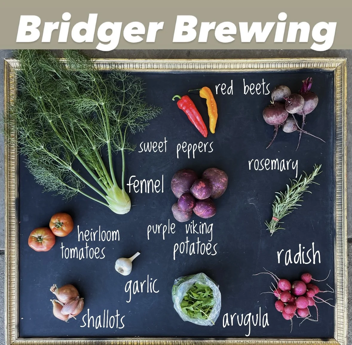 Amaltheia Summer CSA 2026- Bridger Brewing