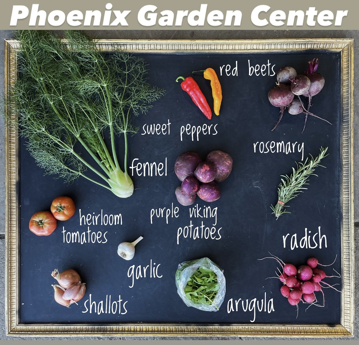 Amaltheia Summer CSA 2026- Phoenix Garden Center