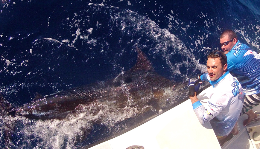 Peak_Sportfishing_Charter_Exmouth_Western_Australia_Blue_Marlin_GOPR0091.JPG