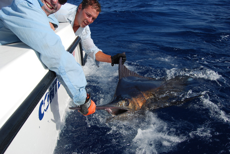 Peak_Sportfishing_Charter_Exmouth_Western_Australia_Blue_Marlin_DSC_0221.JPG