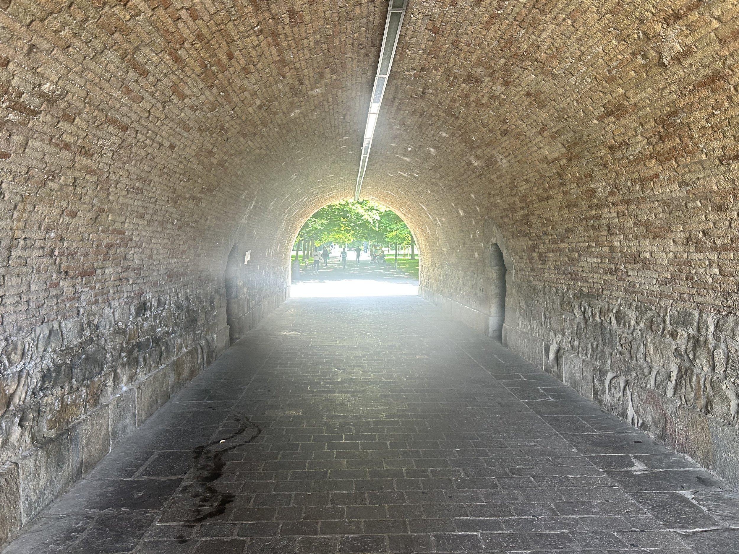 IMG_9224.jpeg