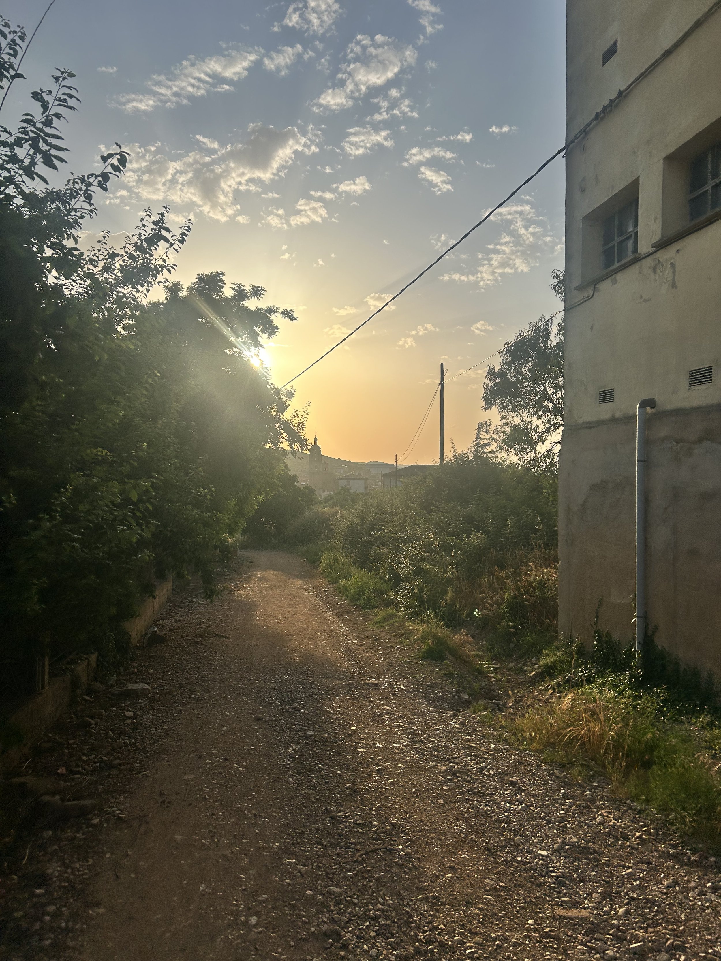 IMG_9464.jpeg