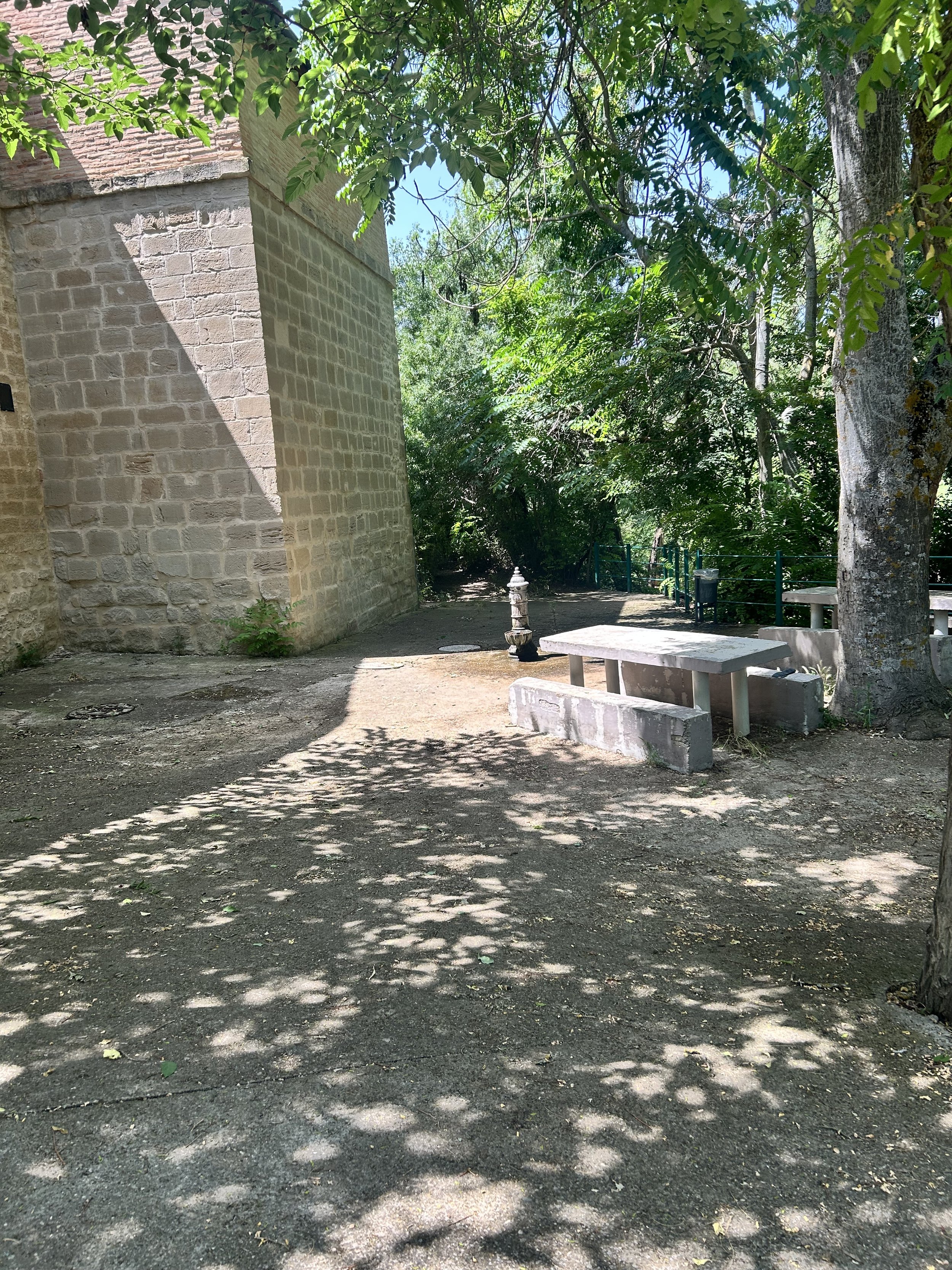 IMG_9504.jpeg
