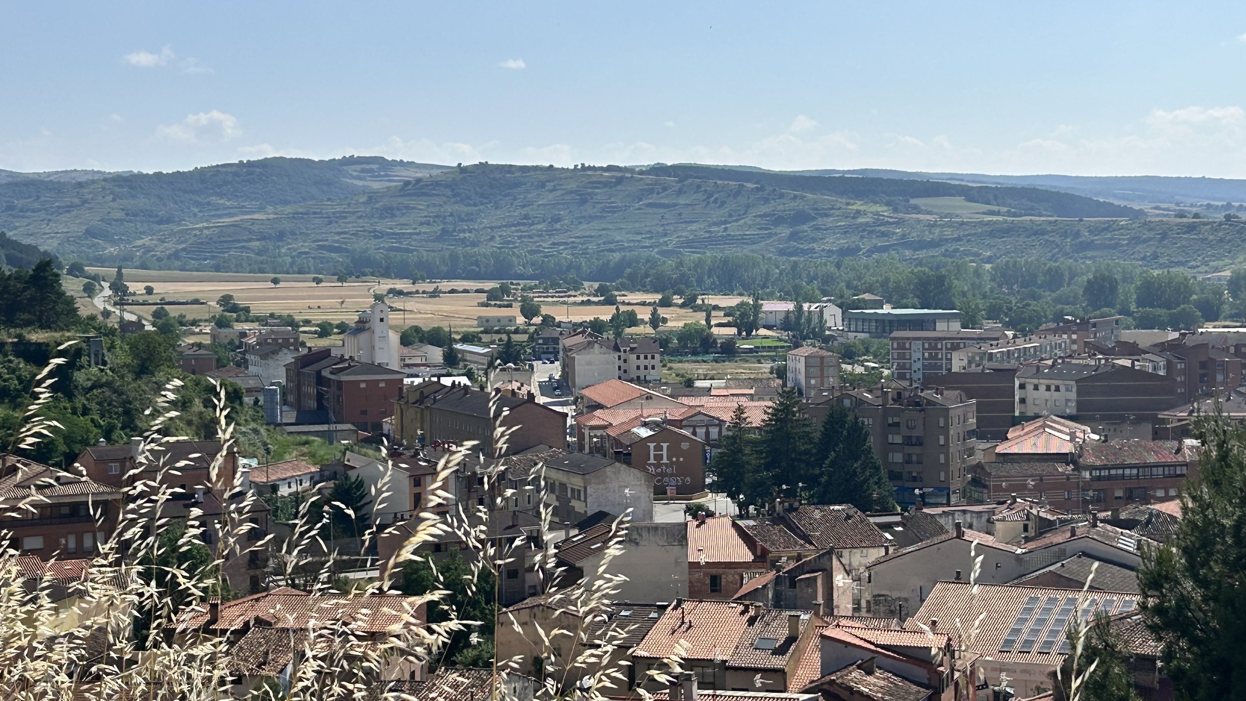 IMG_9734.jpeg