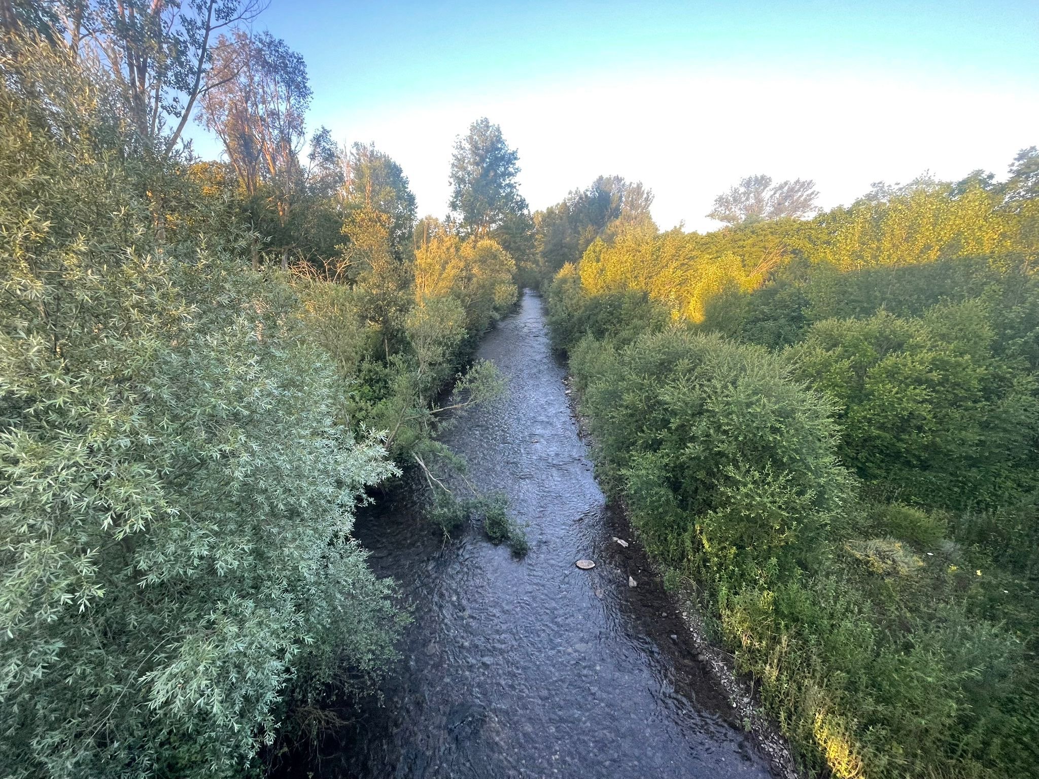 e71ffb7b-65f0-448e-a6da-f28586268a0a.jpeg