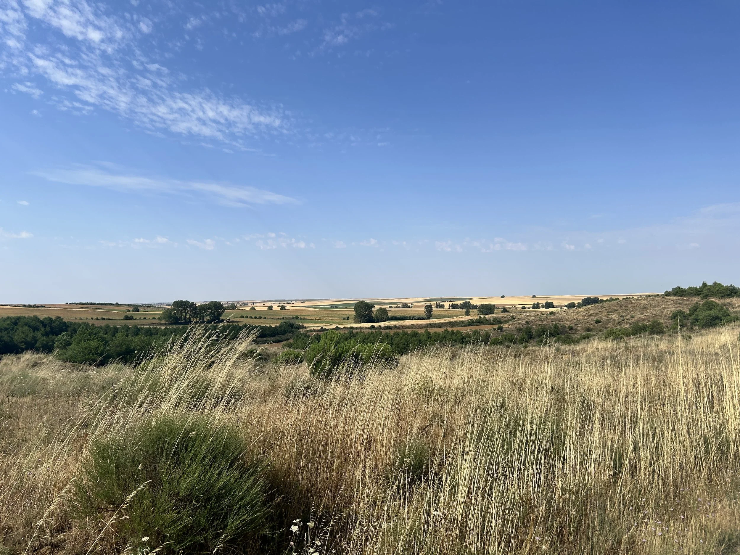 IMG_0028.jpeg