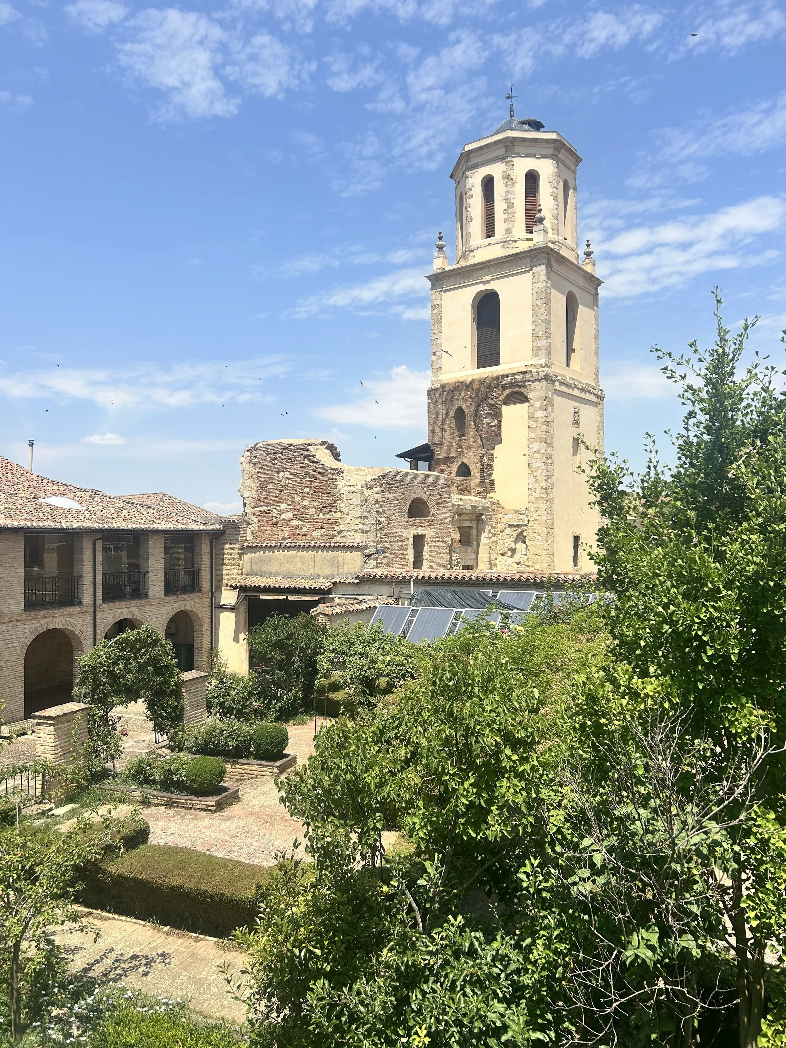 IMG_0051.jpeg