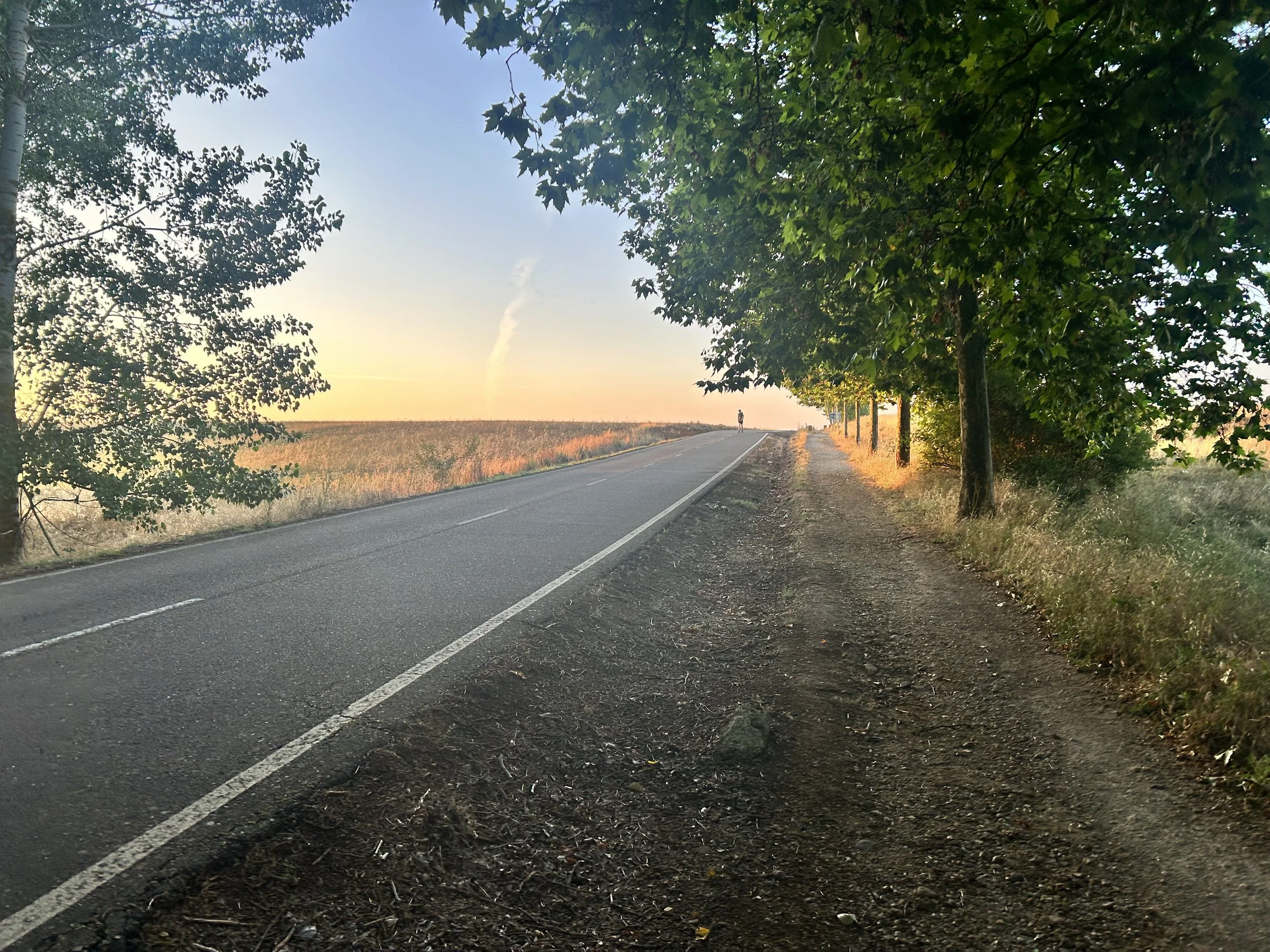 IMG_0131.jpeg
