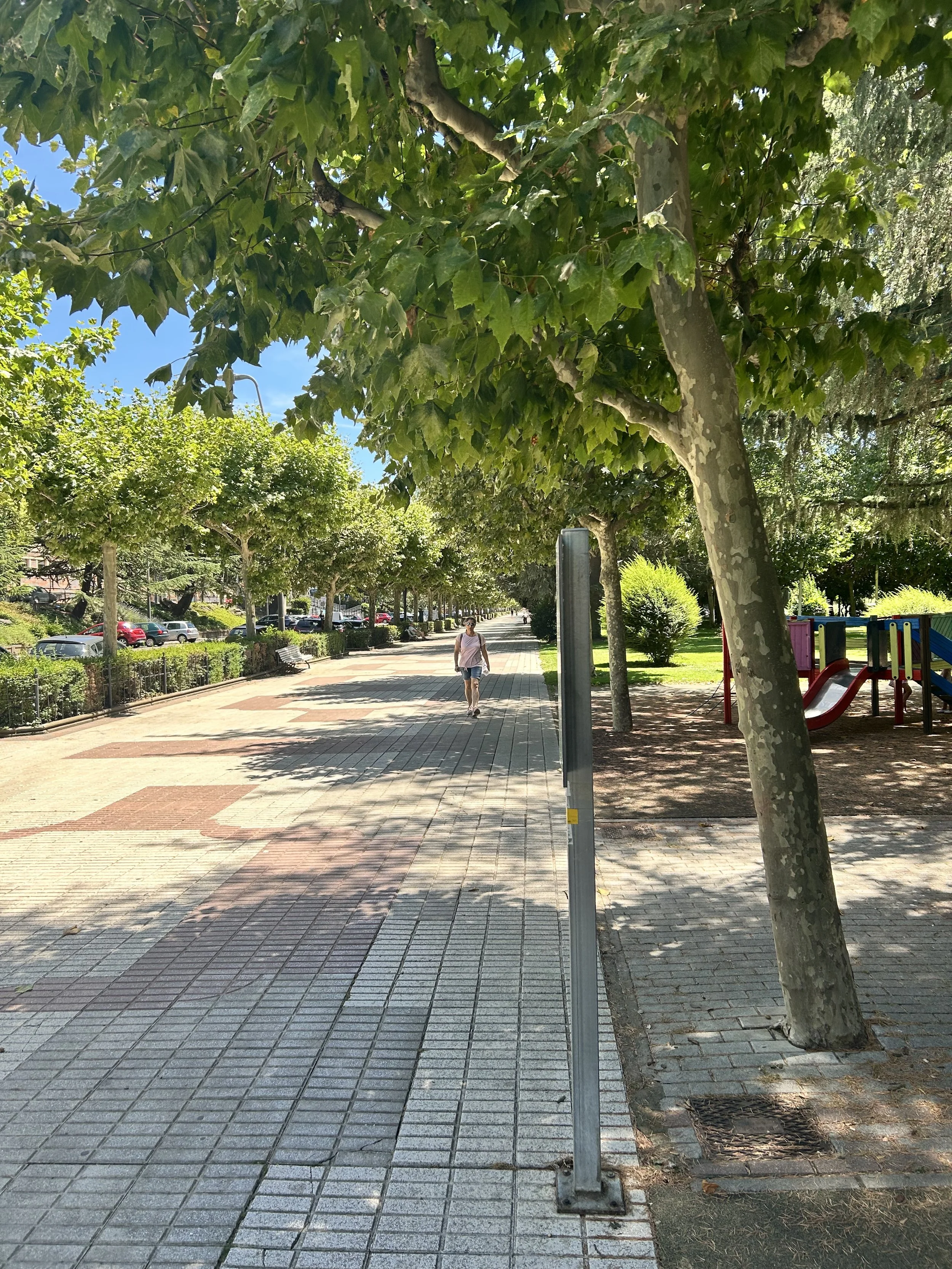 IMG_0222.jpeg