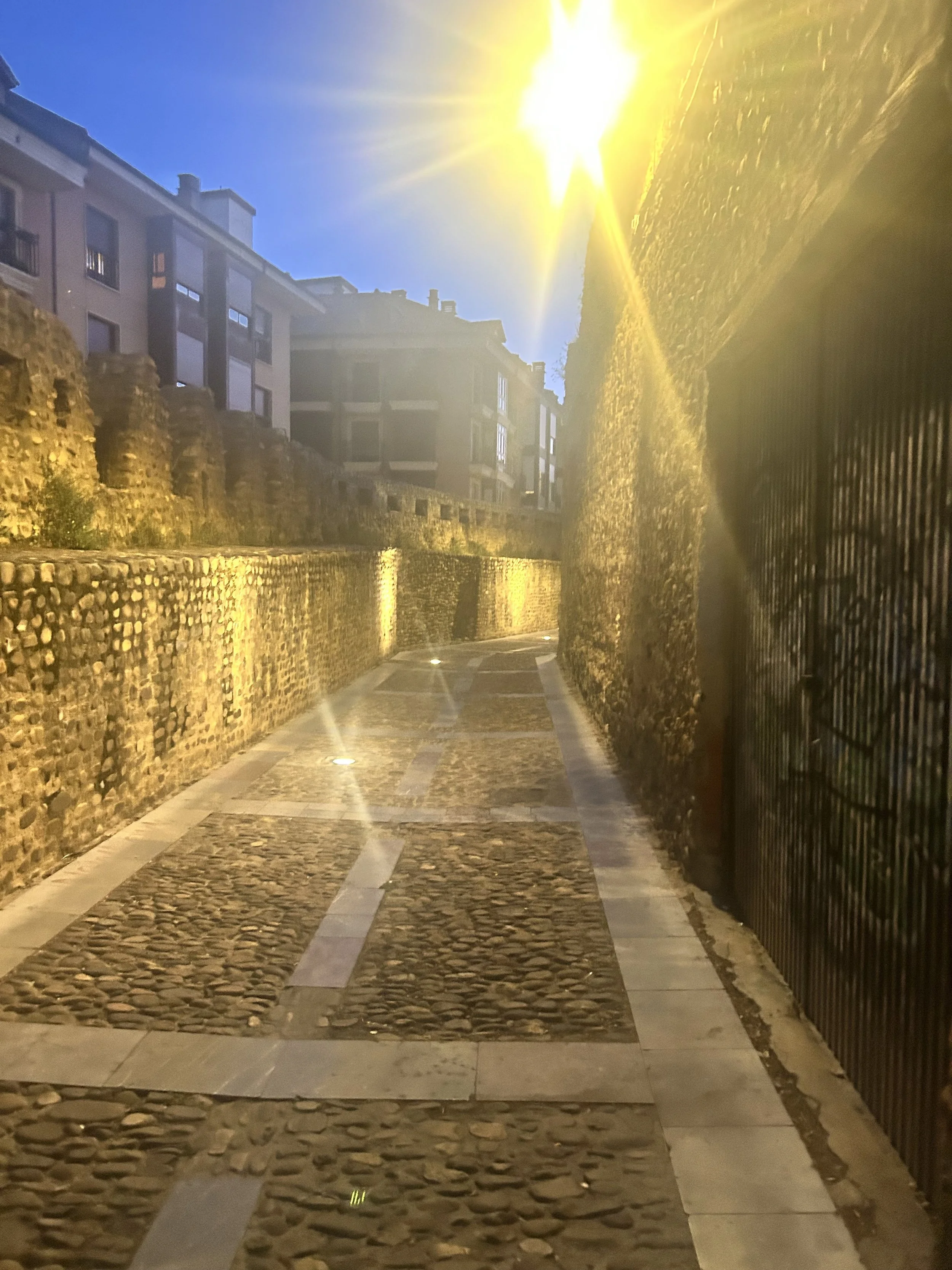 IMG_0256.jpeg