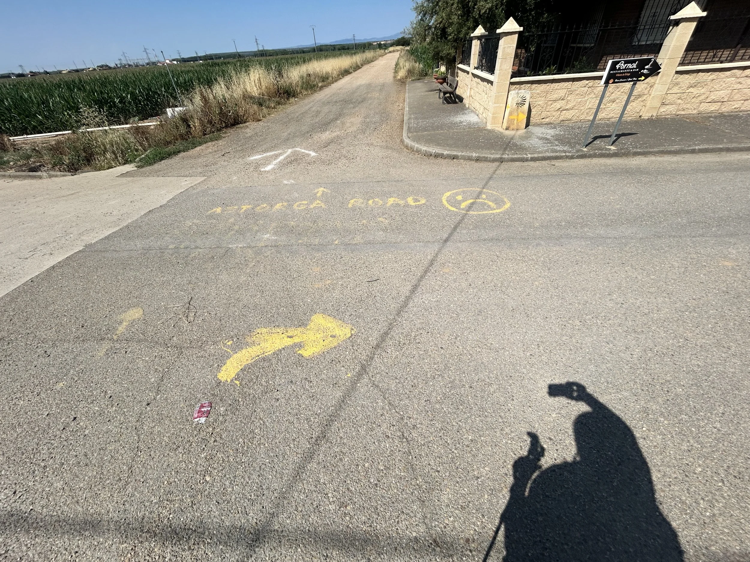 IMG_0311.jpeg