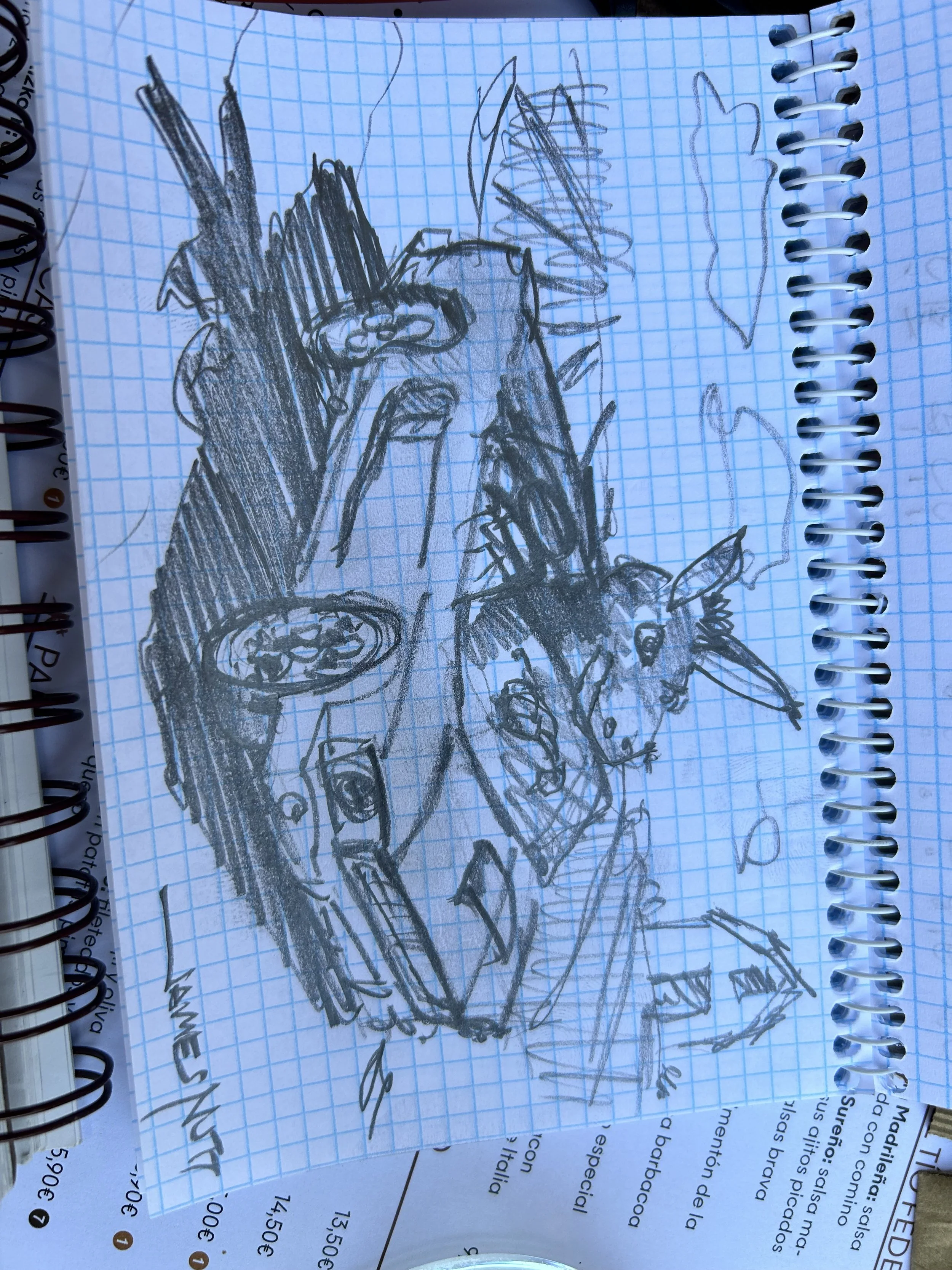 IMG_0343.jpeg