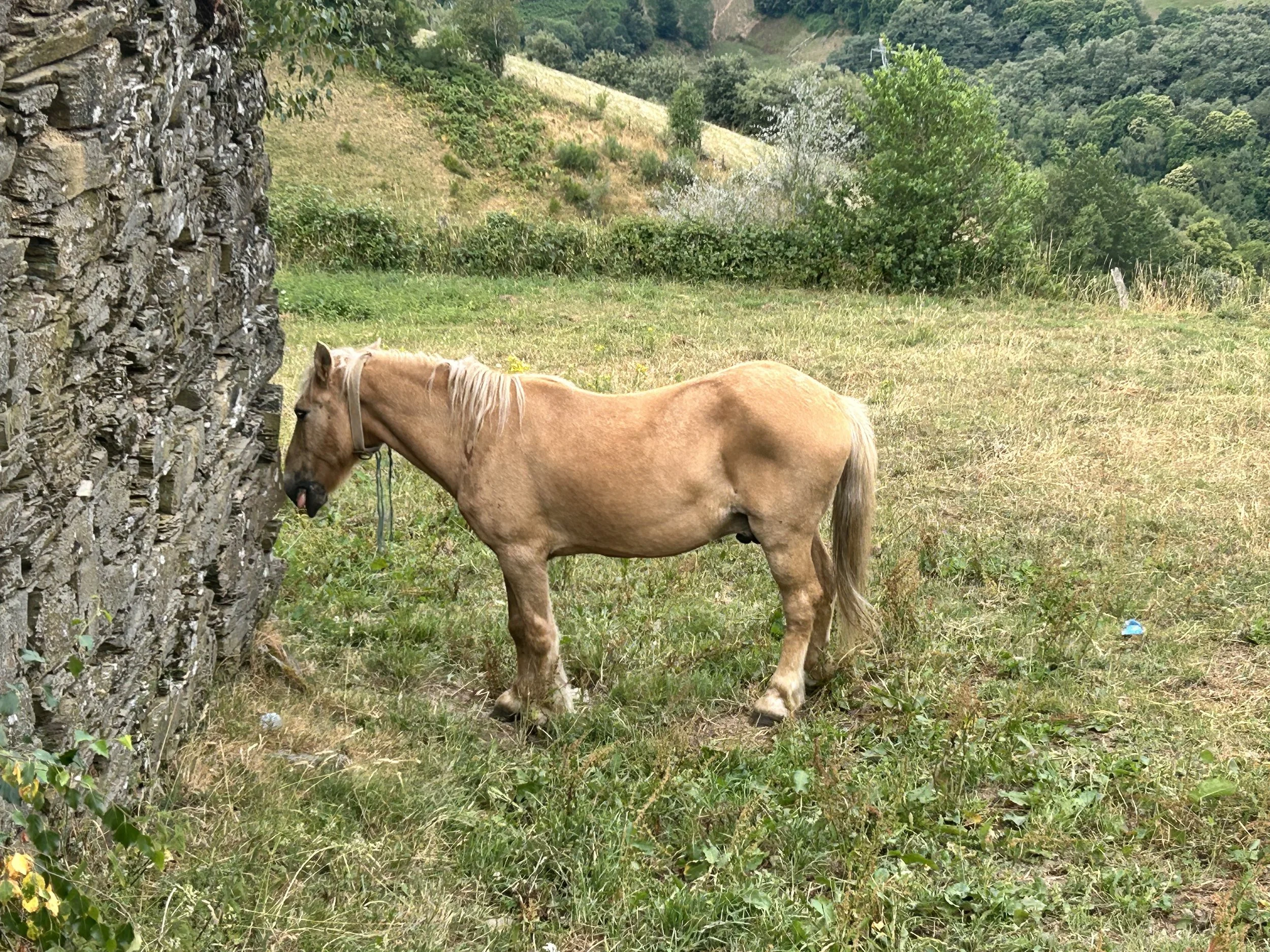 IMG_0633.jpeg