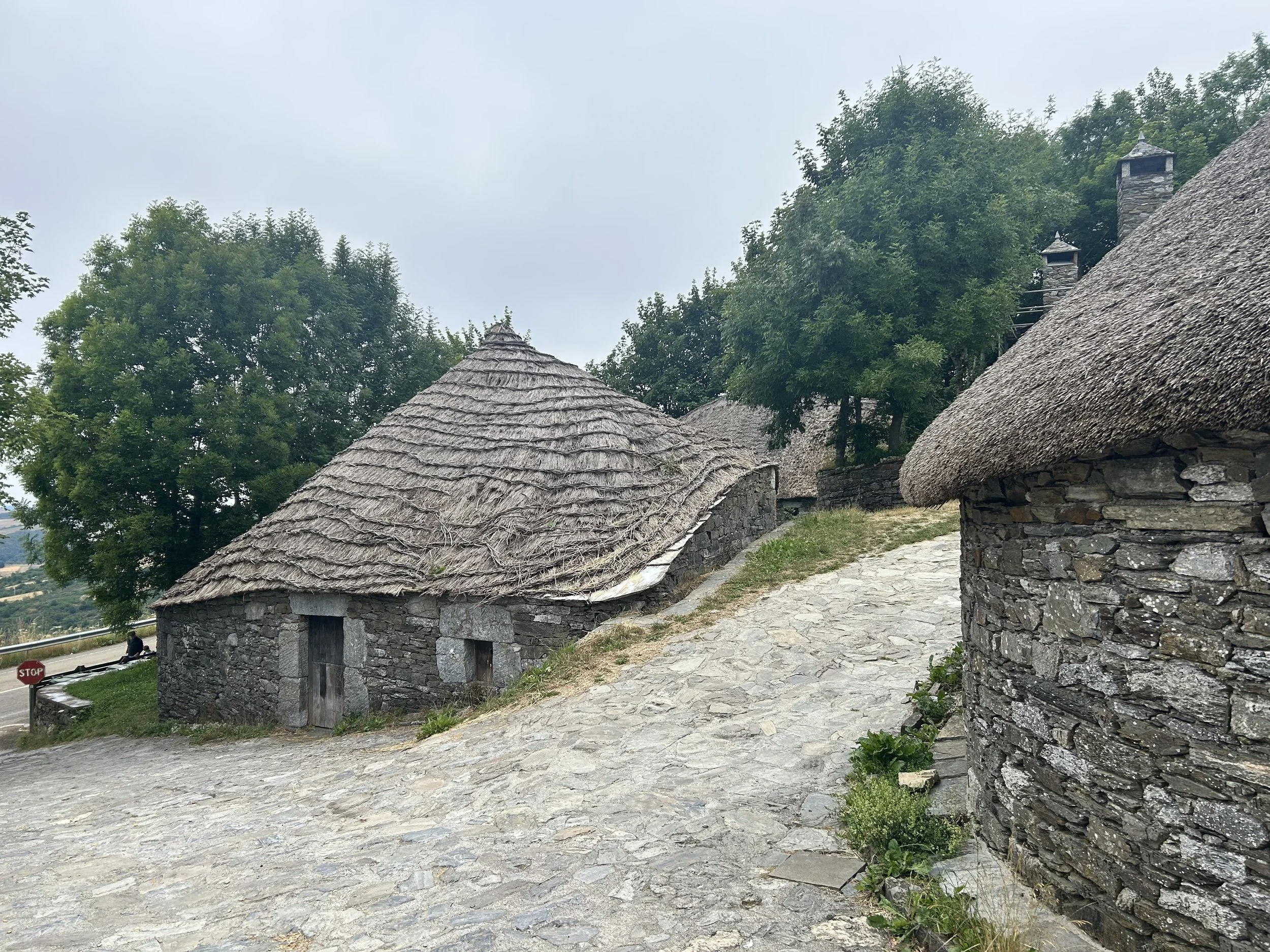 IMG_0645.jpeg