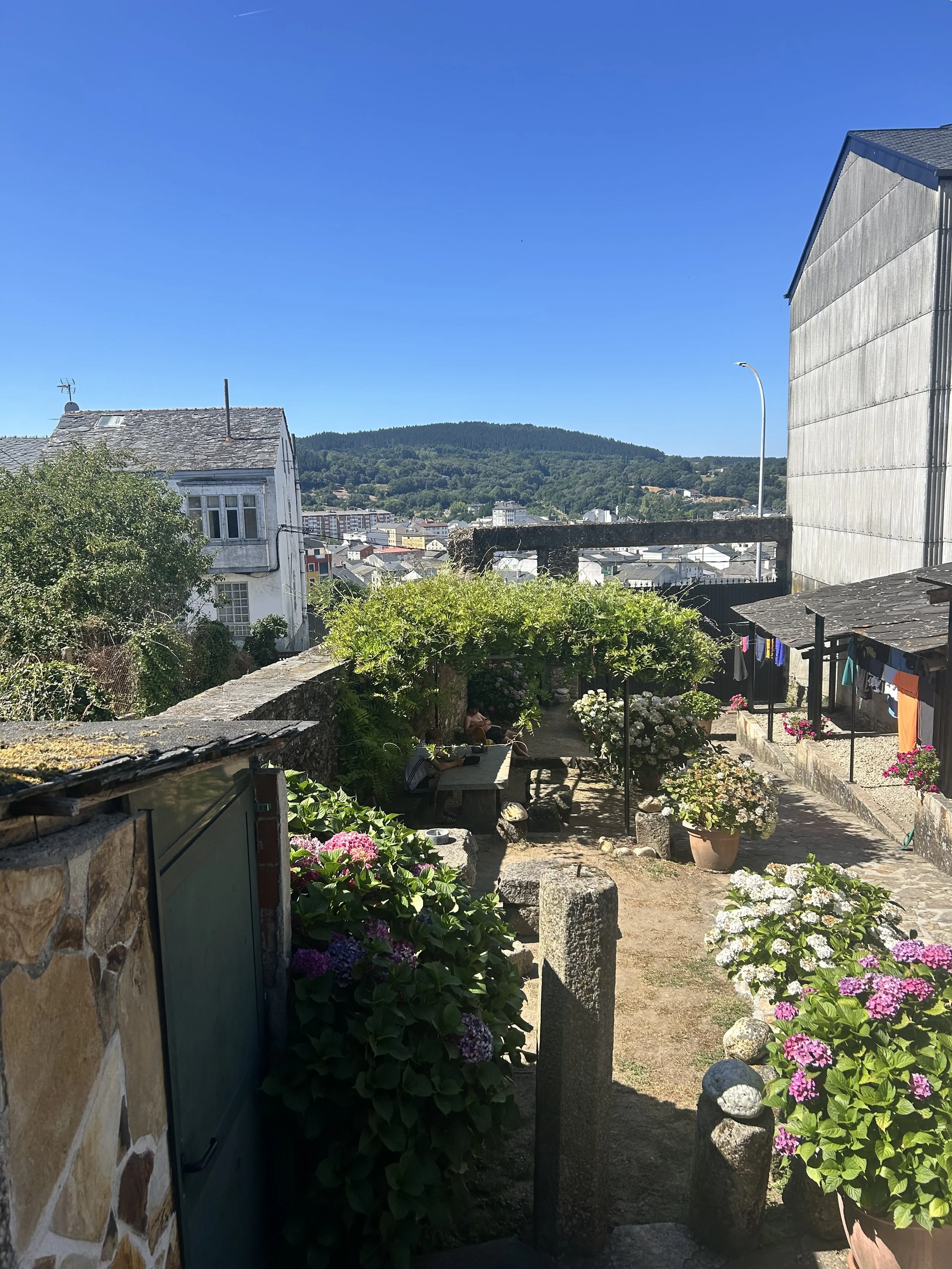 IMG_0730.jpeg