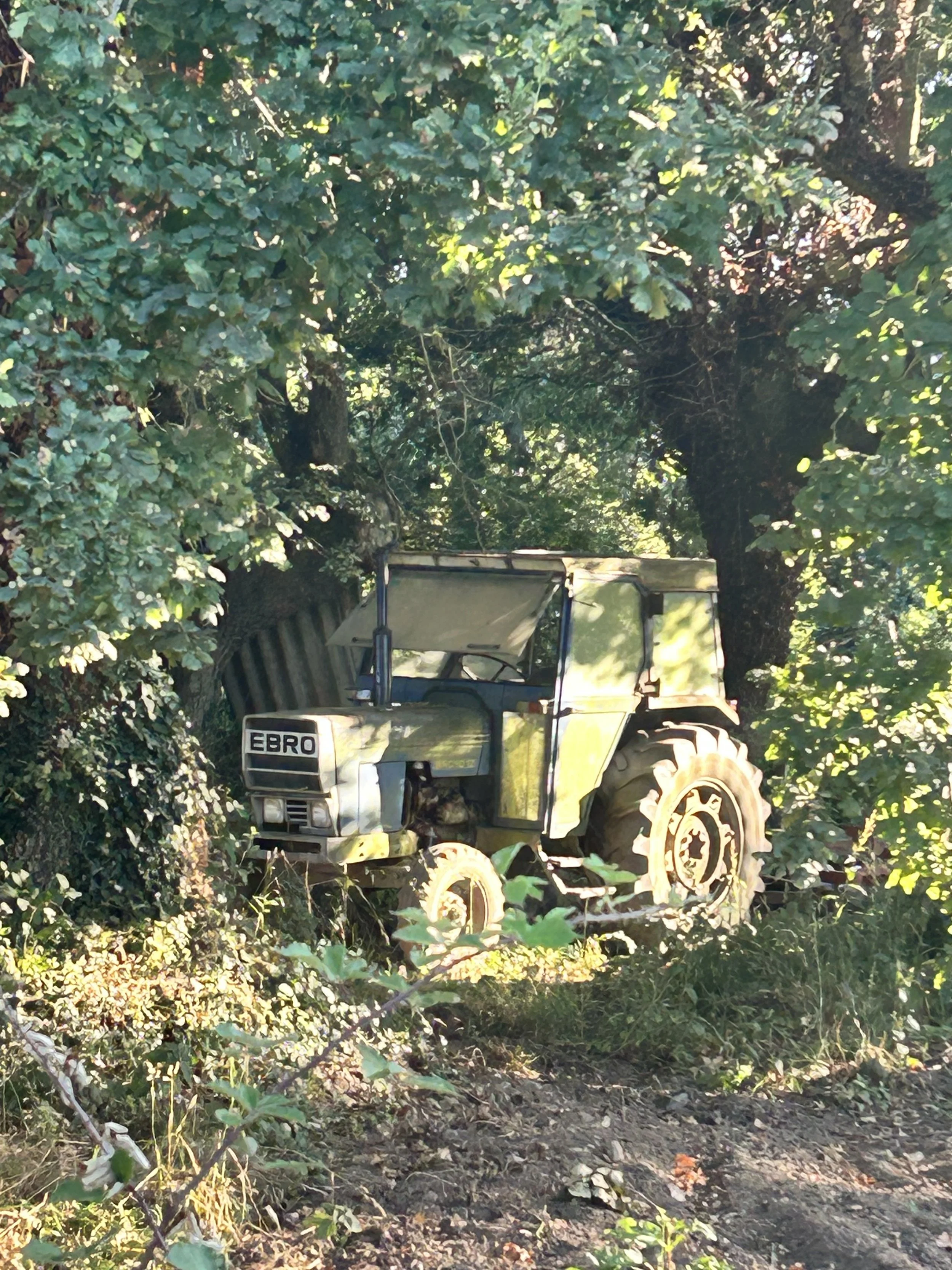 IMG_0754.jpeg