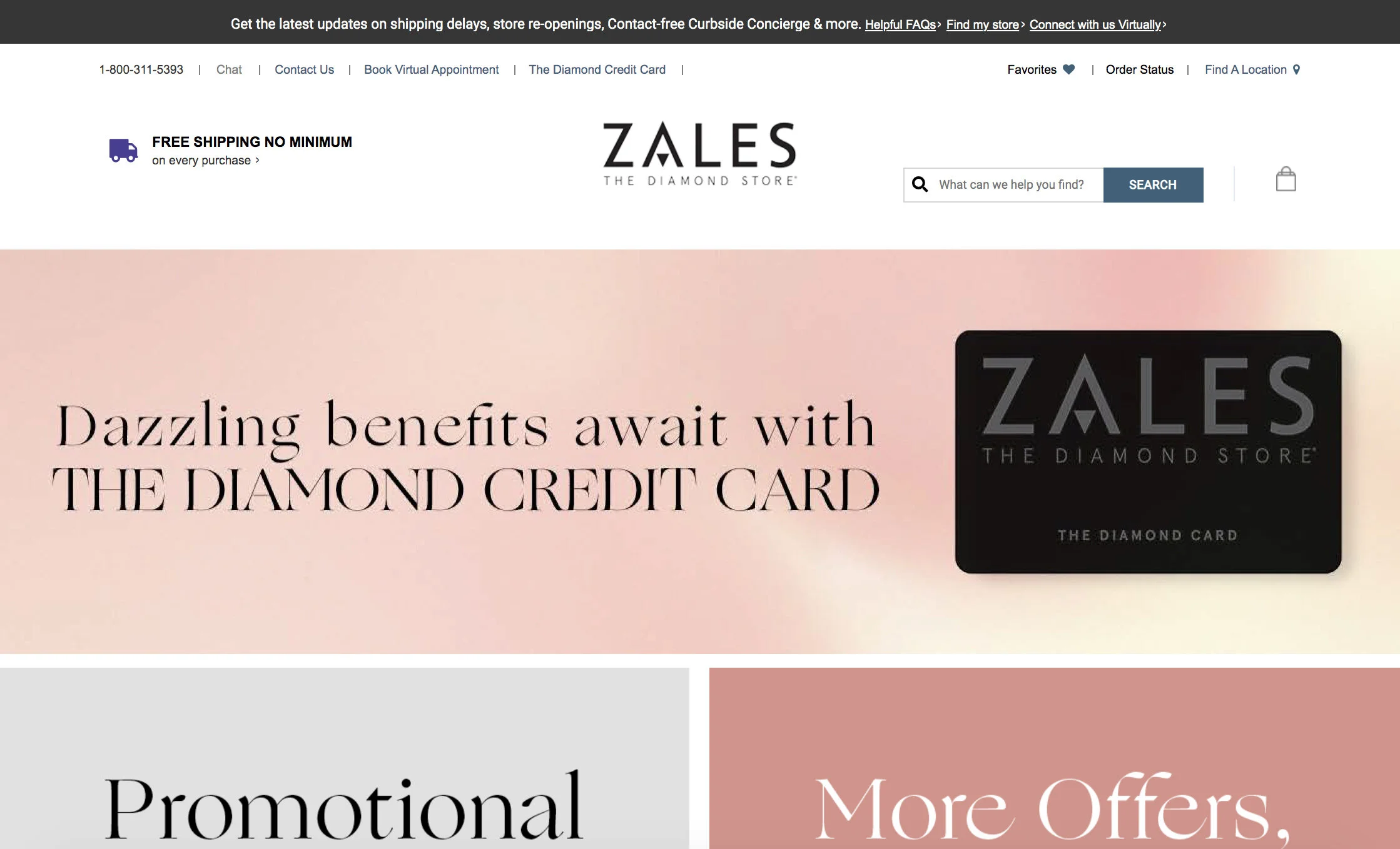 zales credit.jpg