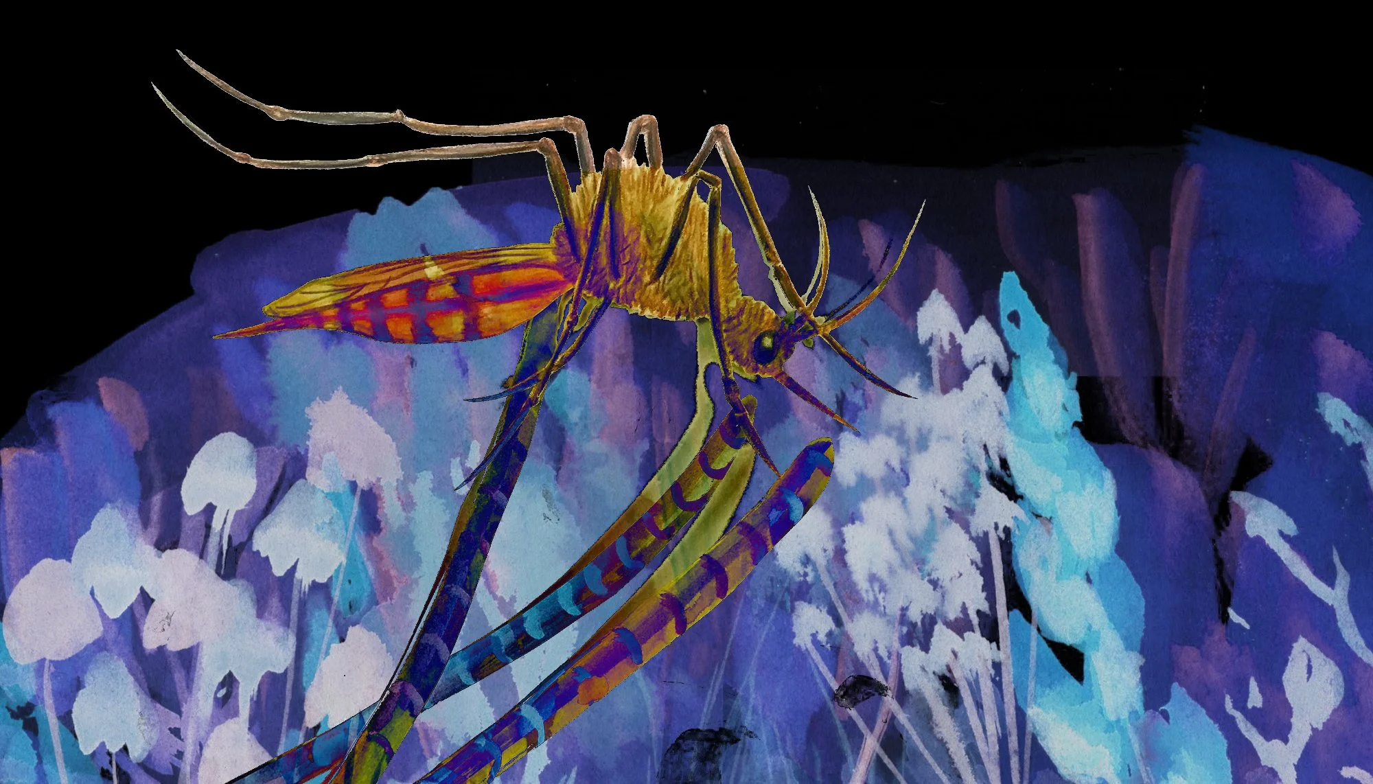 inverted mosquito.jpg
