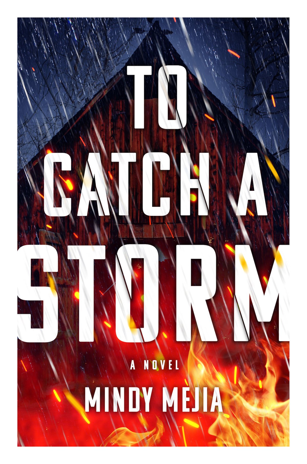 To Catch a Storm cover.jpg