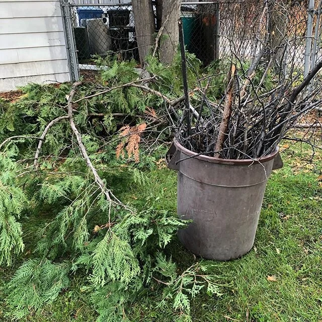 Uh oh. Looks like Morton&rsquo;s been collecting sticks in the yard again...