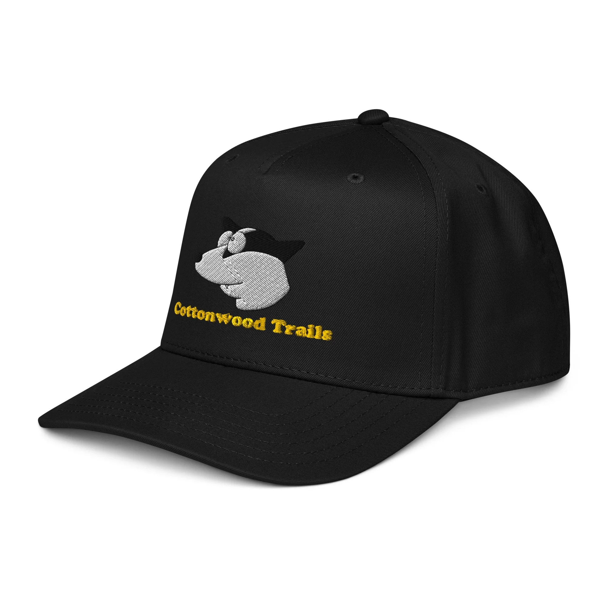 5-panel-mid-profile-baseball-cap-black-left-front-6ac40f130017d.jpg