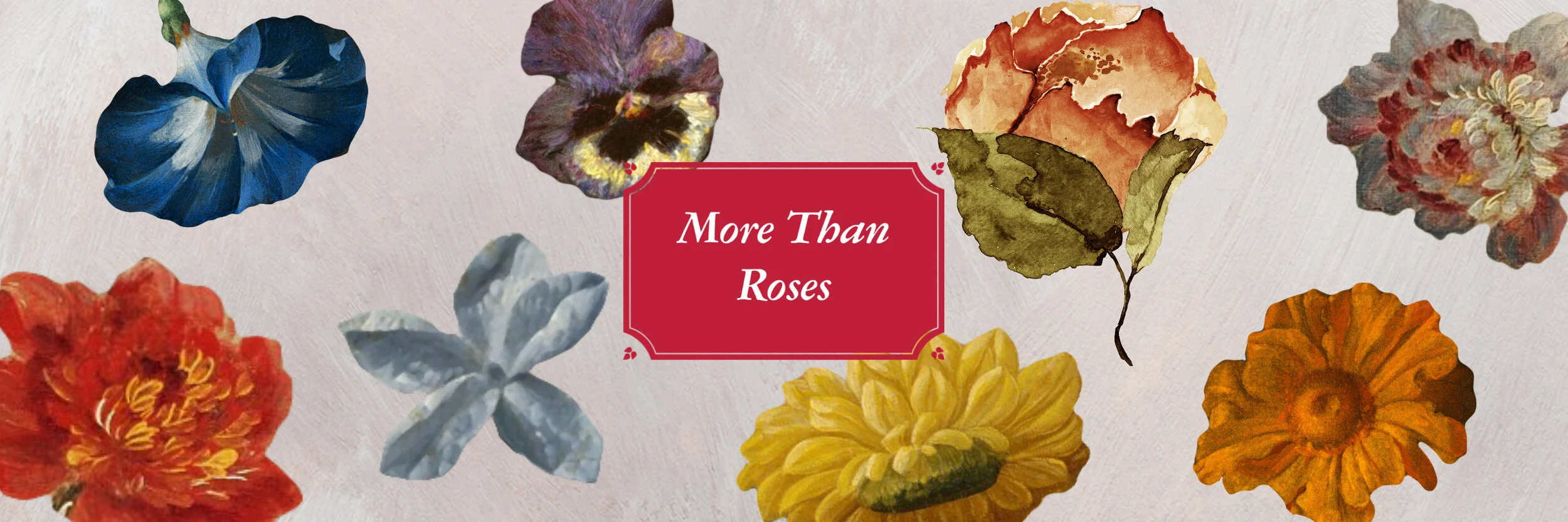 MTR Idea 5 Banner.jpg