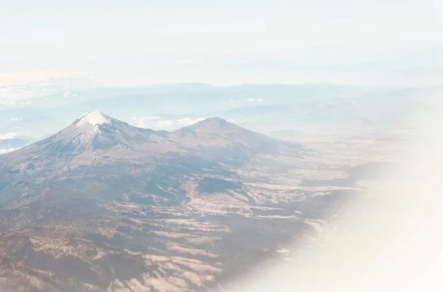 &ldquo;We have to recognize that every breath of air we take, every mouthful of food we take, comes from the natural world. And if we damage the natural world, we damage ourselves. We are coherent ecosystems. It&rsquo;s not just a question of beauty,