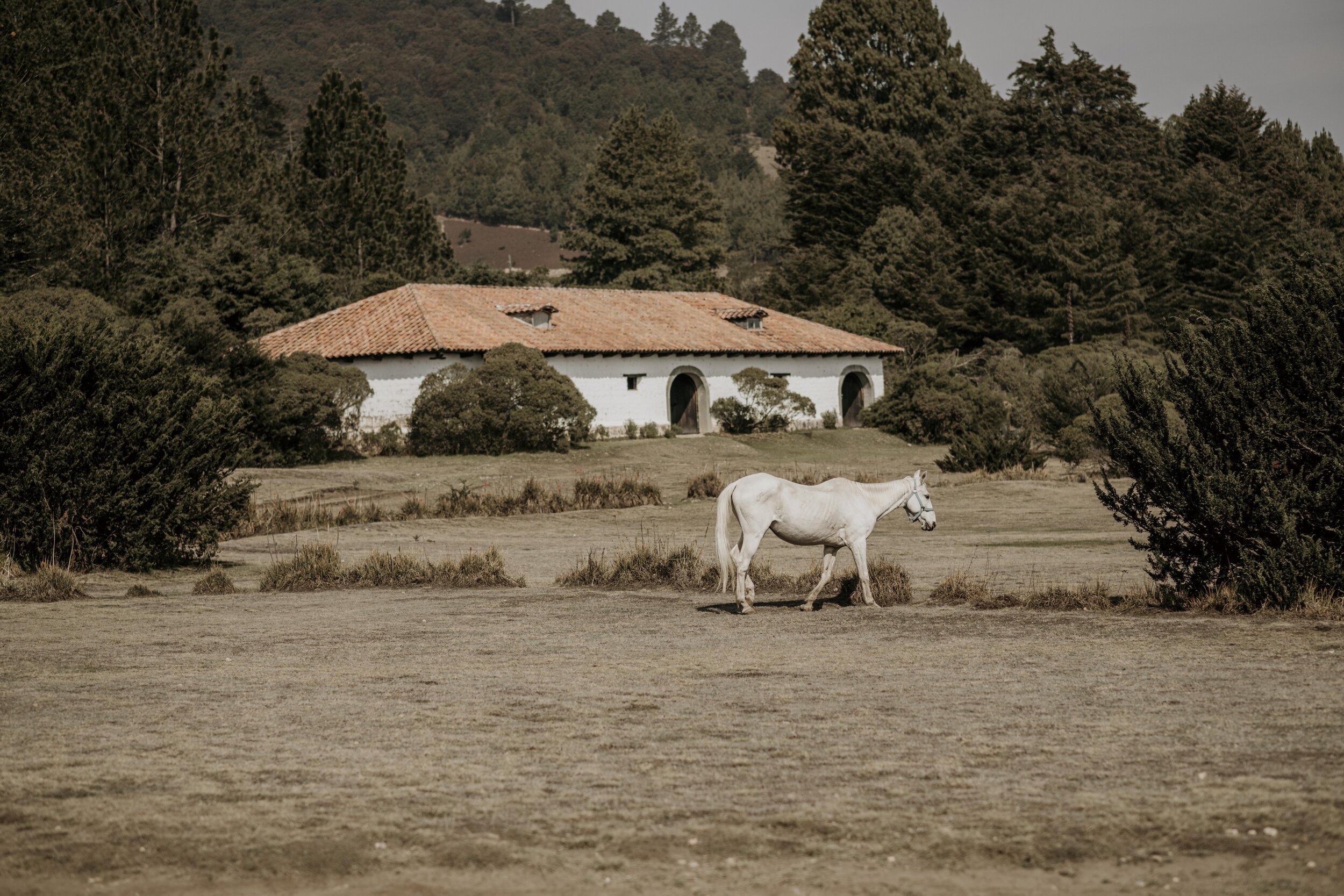 _DII-5925.jpg