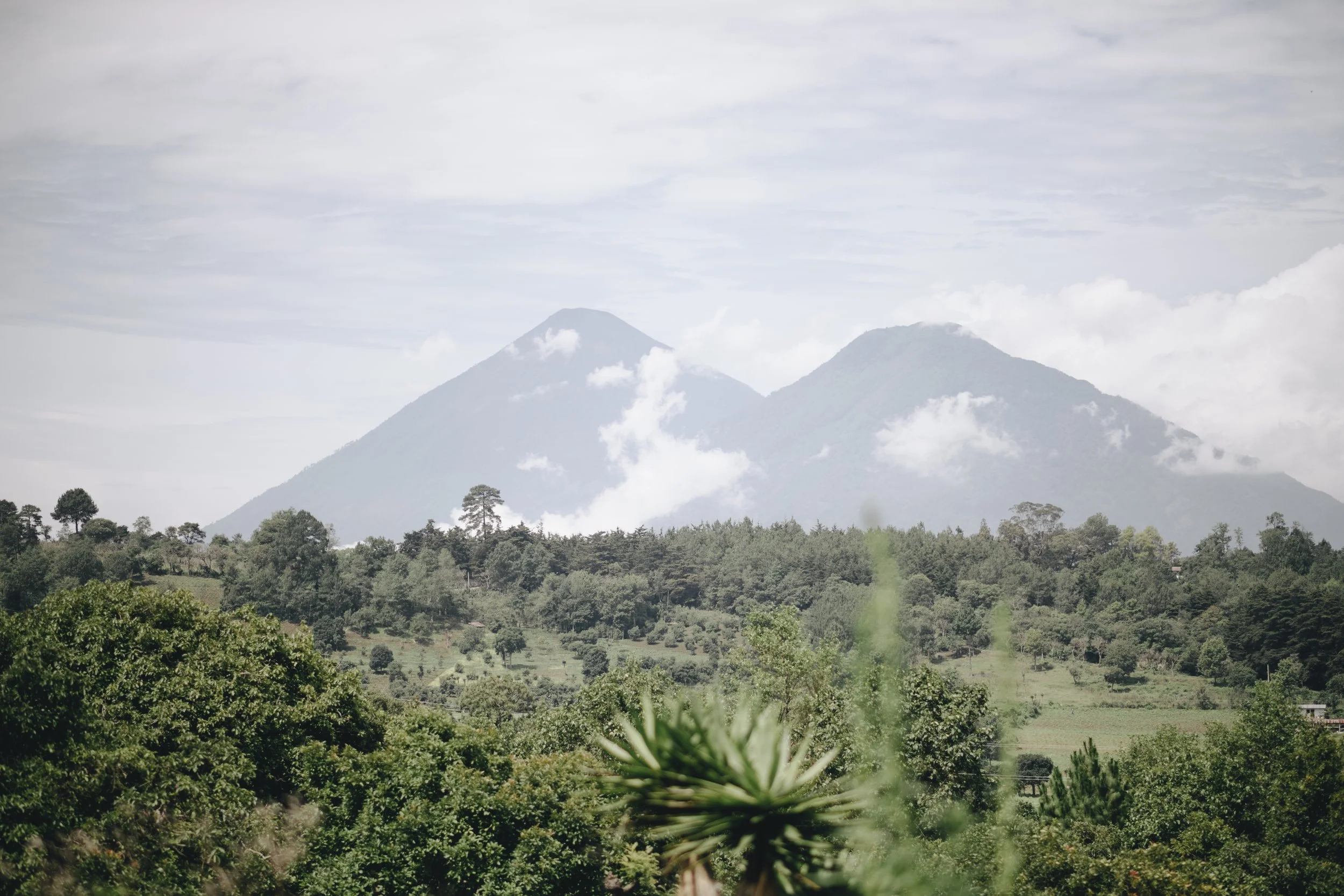 _DII-5626.jpg