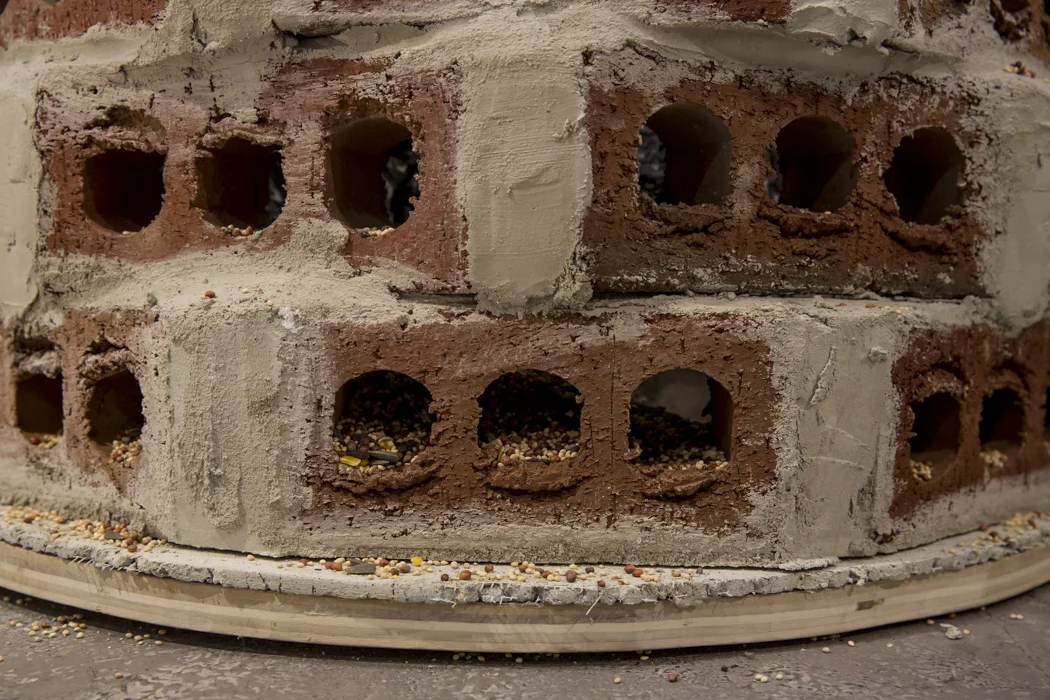 Copy of Higginbotham_T_06.jpg