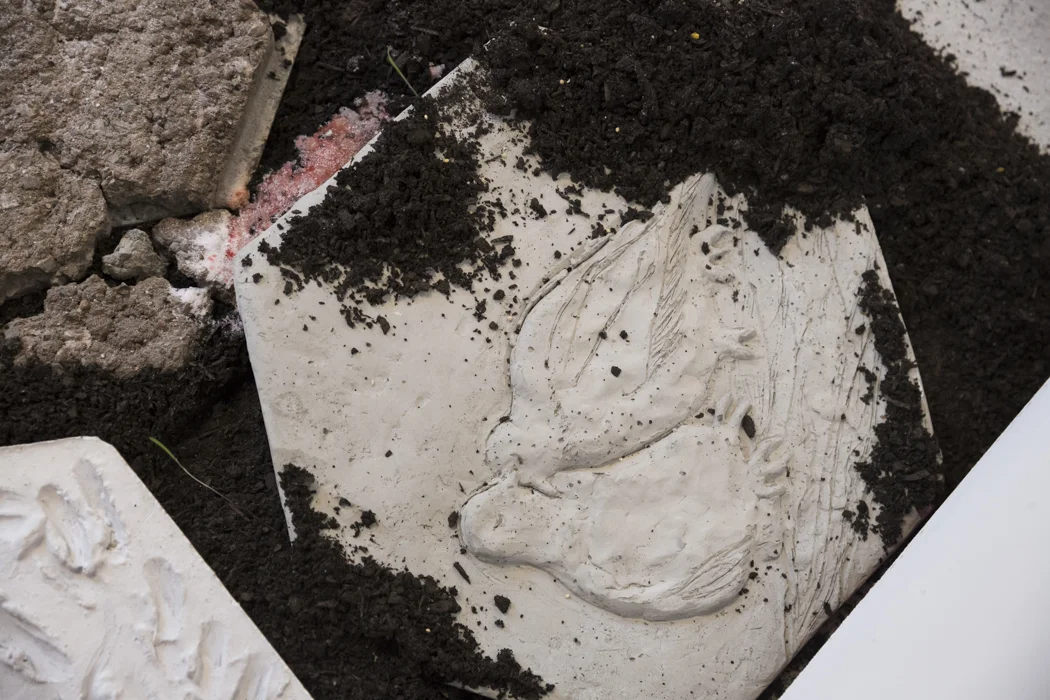 Tristan Doc_Web-16.jpg