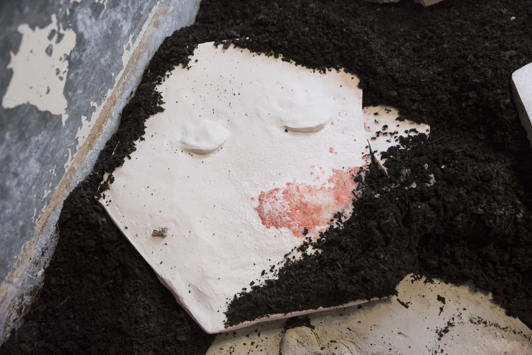 Tristan Doc_Web-15.jpg