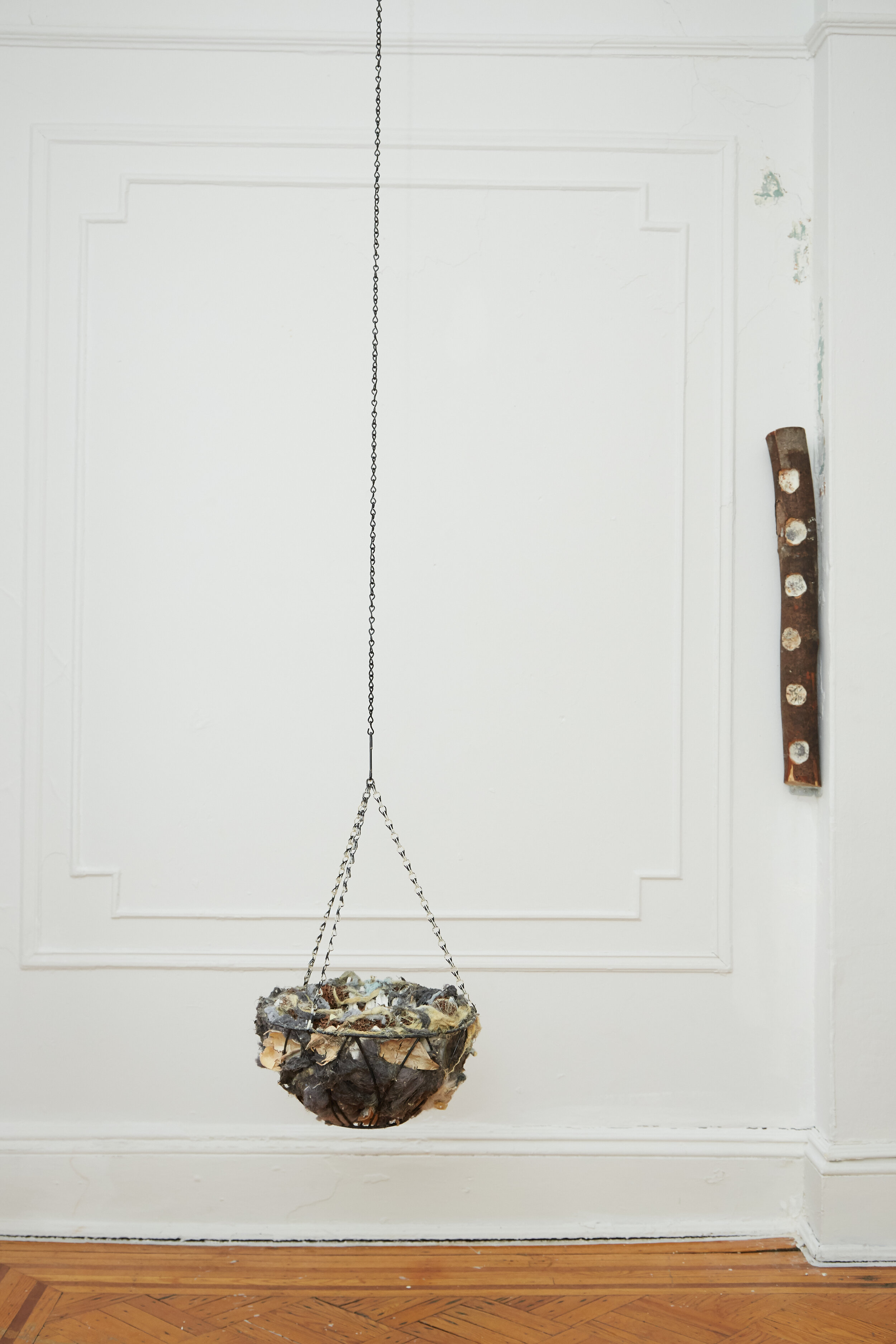   Hanging Basket   plaster, powdered graphite, dryer lint, wool, sweet gum seeds, plant matter, acrylic, wood glue, chain, hook   