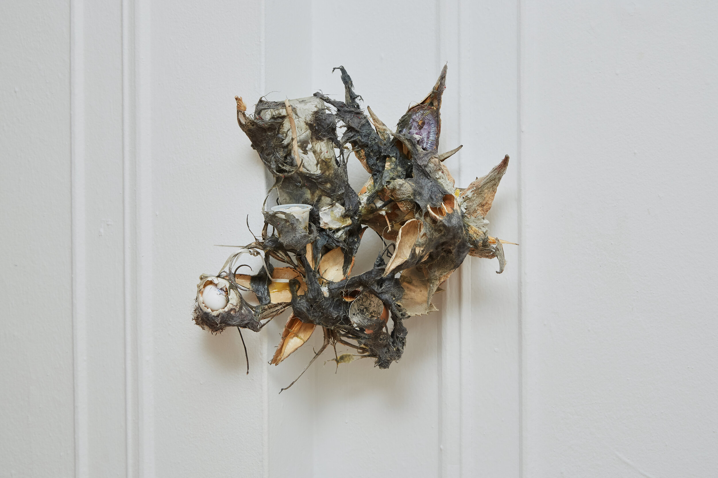 Gray Collage milkweed seed pods, Proboscidea seed pods, dryer lint, wood glue, take out containers, chicken eggs, pigeon egg, plant material, ribbon, acrylic, rocks, horseshoe crab exoskeleton, stick shaped like small snake