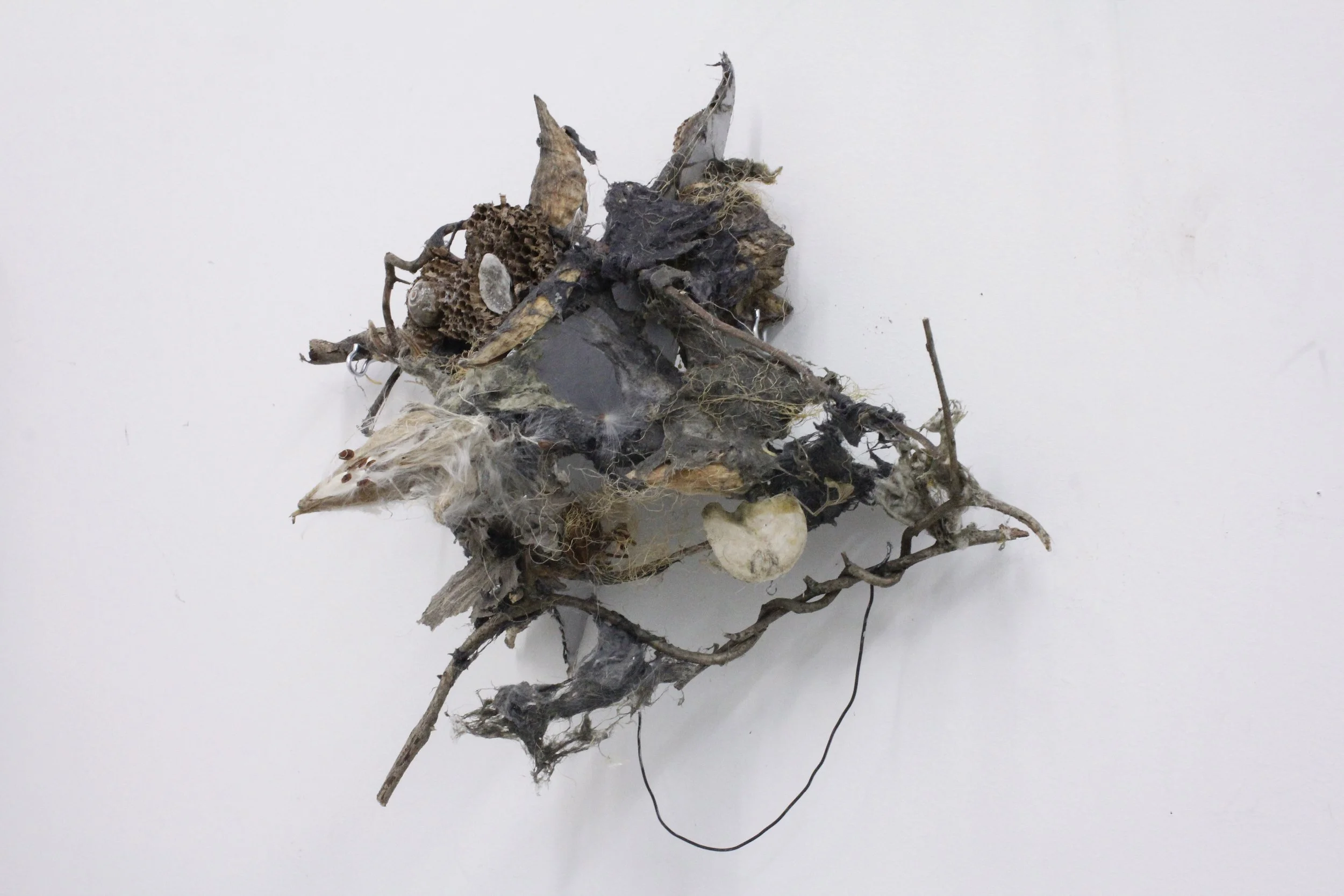 Enrichment Collage_side view.jpg