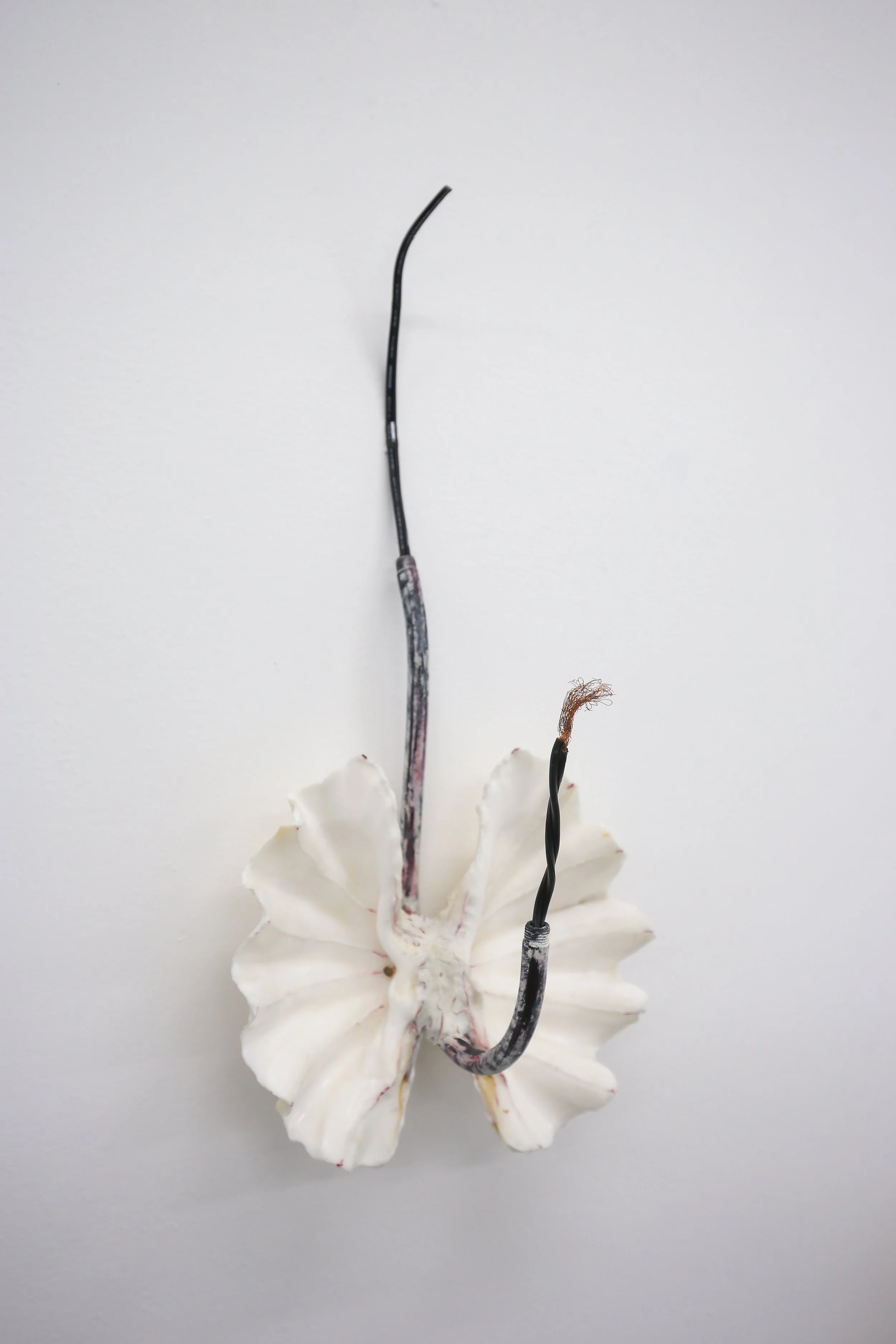 Rustle Installation-33.jpg